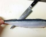 さんまのお造り お刺身三枚おろし魚捌き方作り方12写真