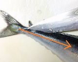 さんまのお造り お刺身三枚おろし魚捌き方作り方9写真