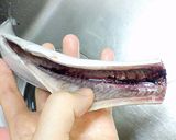 さんまのお造り お刺身三枚おろし魚捌き方作り方7写真