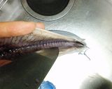さんまのお造り お刺身三枚おろし魚捌き方作り方6写真
