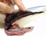 さんまのお造り お刺身三枚おろし魚捌き方作り方4写真