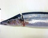 さんまのお造り お刺身三枚おろし魚捌き方作り方2写真