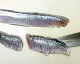 さんまのお造り お刺身三枚おろし魚捌き方作り方21写真