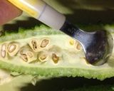 苦くないゴーヤの漬物作り方1写真
