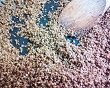 めちゃめちゃ便利！和えるだけ胡麻和えの素作り方6写真
