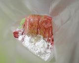 どんな巻き方でもOK♪ちびロールキャベツ作り方3写真
