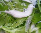 セロリとトマトのマリネ作り方3写真