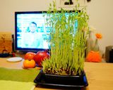 カリッと揚出し豆腐×ふんわりだし卵作り方7写真