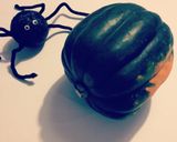 まるごとAconSquash焼き作り方1写真