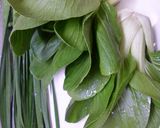 餃子(チンゲン菜とニラ入り)作り方1写真