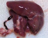 鶏レバーのワイン煮作り方1写真