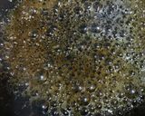 下ごしらえでバリ美味☆金色の大学芋作り方6写真