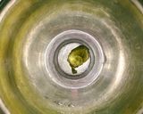 しゃぶしゃぶや鍋の時用♪味ポンたれ♪作り方1写真