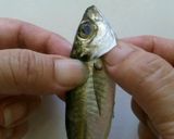 美味しい鯵南蛮漬け作り方2写真