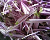 もってのほか（食用菊）のみぞれ和え作り方2写真