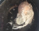 アボカドのエッグズベネディクト作り方6写真