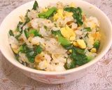 すごくおいしい！春色菜めし作り方4写真