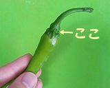 ☆ししとうの甘味噌炒め☆作り方2写真