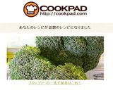 ブロッコリーの一先ず保存はこれ！作り方16写真