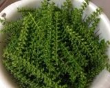 しその実の梅酒煮作り方1写真
