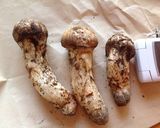 松茸うどん作り方1写真