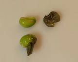 残りご飯で枝豆チップス作り方1写真