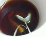 お気軽レモンティーパン作り方1写真