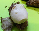 秋の贈り物！いかと里芋と油揚げの煮物作り方2写真
