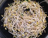 豆もやしと牛肉のオイスター炒め作り方4写真