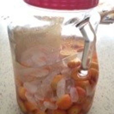 庭のココスヤシの実で果実酒♬ by おぐにゃんこ 【クックパッド】 簡単