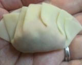 母の味☆うちんとこの白菜ギョーザ作り方9写真