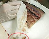 一品入魂！さばの下処理（味噌煮用）作り方5写真