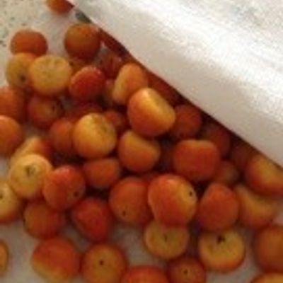 庭のココスヤシの実で果実酒♬ by おぐにゃんこ 【クックパッド】 簡単