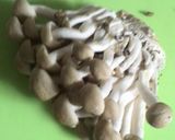 簡単☆厚揚げとしめじ煮☆作り方2写真