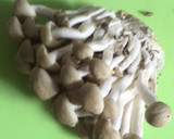 簡単☆厚揚げとしめじ煮☆作り方2写真