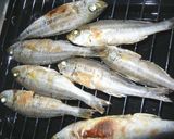 小イサキの酢漬け作り方3写真