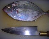 さかなの血合い骨をカンタンに取る方法作り方1写真