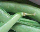 鶏胸肉とインゲン豆の炒め物作り方3写真