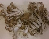 きのこのサラダ作り方1写真