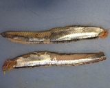 今が旬の秋刀魚でなめろう♪作り方2写真