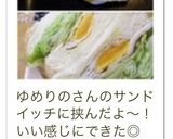 お弁当に♪二つ折り目玉焼き作り方10写真