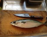 ☆旦那くんの☆〆鯖作り方1写真