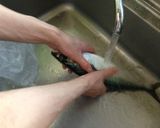 ☆旦那くんの☆〆鯖作り方2写真