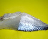 にぎり鯖鮨作り方4写真