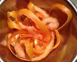 グレフル酒2.5ℓ作り方3写真