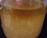 グレフル酒2.5ℓ作り方10写真