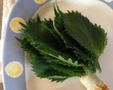 チーズとシソの竹輪フライ作り方2写真