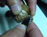 栗の下処理〜栗ご飯作り方5写真