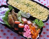 【弁当飯】鶏そぼろサンドdeそぼろ飯作り方7写真