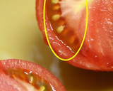 いろいろ使える♪冷たいトマトソース作り方7写真